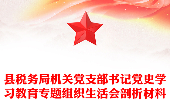 县税务局机关党支部书记党史学习教育专题组织生活会剖析材料