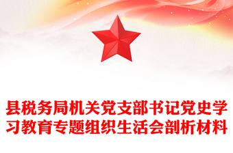 县税务局机关党支部书记党史学习教育专题组织生活会剖析材料