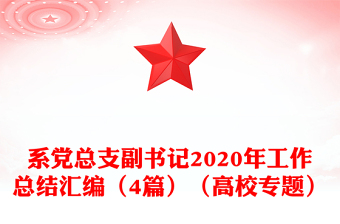 系党总支副书记2020年工作总结汇编（4篇）（高校专题）