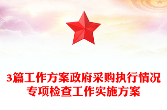 3篇工作方案政府采购执行情况专项检查工作实施方案