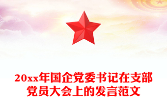 20xx年国企党委书记在支部党员大会上的发言范文