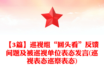 【3篇】巡视组“回头看”反馈问题及被巡视单位表态发言(巡视表态巡察表态)