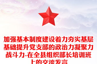 加强基本制度建设着力夯实基层基础提升党支部的政治力凝聚力战斗力-在全县组织部长培训班上的交流发言