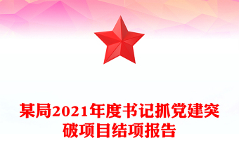 某局2021年度书记抓党建突破项目结项报告