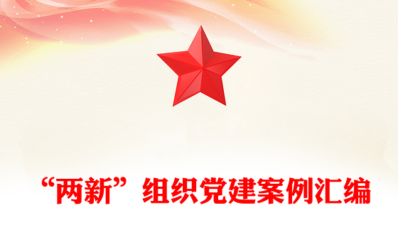 “两新”组织党建案例汇编