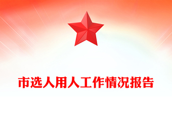 市选人用人工作情况报告