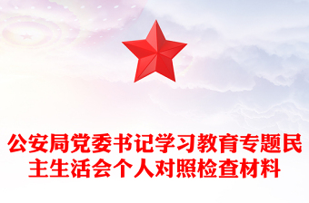 公安局党委书记学习教育专题民主生活会个人对照检查材料