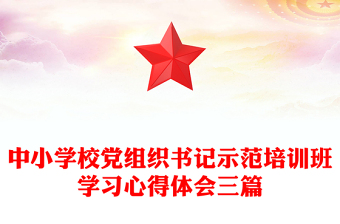 中小学校党组织书记示范培训班学习心得体会三篇