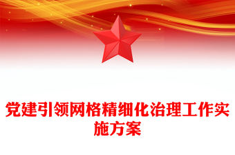 党建引领网格精细化治理工作实施方案