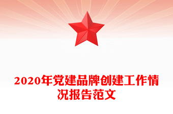 2020年党建品牌创建工作情况报告范文