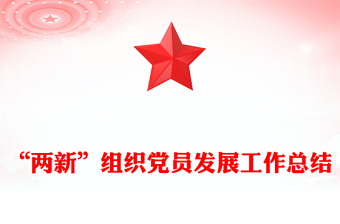 “两新”组织党员发展工作总结