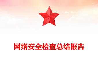 网络安全检查总结报告