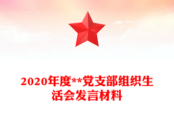 2020年度**党支部组织生活会发言材料
