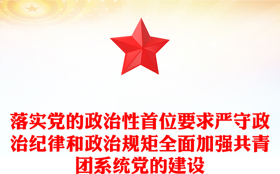 落实党的政治性首位要求严守政治纪律和政治规矩全面加强共青团系统党的建设