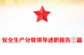 安全生产分管领导述职报告三篇