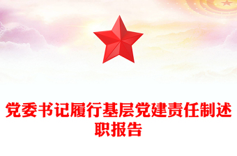 落实党委国家安全责任制报告