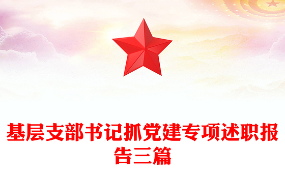 基层支部书记抓党建专项述职报告三篇