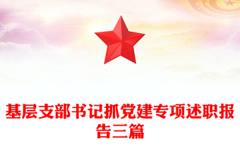 基层支部书记抓党建专项述职报告三篇
