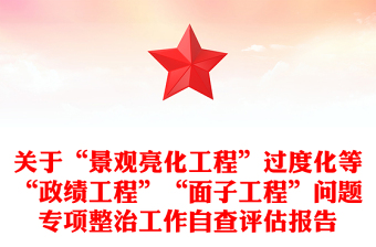 关于“景观亮化工程”过度化等“政绩工程”“面子工程”问题专项整治工作自查评估报告