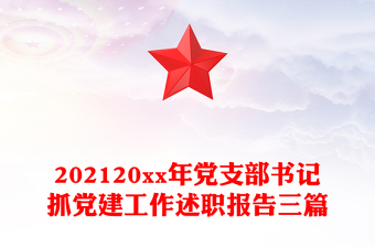 202120xx年党支部书记抓党建工作述职报告三篇