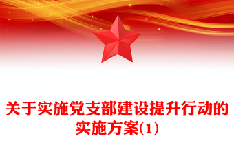 关于实施党支部建设提升行动的实施方案(1)