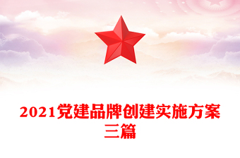 2021党建品牌创建实施方案三篇