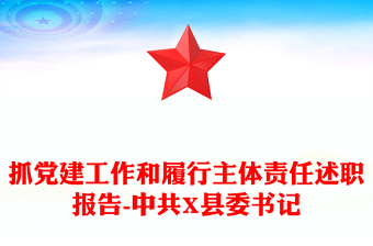 抓党建工作和履行主体责任述职报告-中共X县委书记