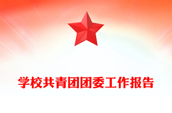 学校共青团团委工作报告