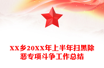 XX乡20XX年上半年扫黑除恶专项斗争工作总结