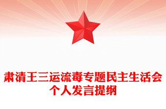 肃清王三运流毒专题民主生活会个人发言提纲