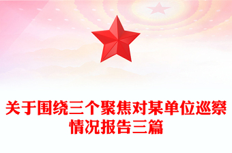 关于围绕三个聚焦对某单位巡察情况报告三篇