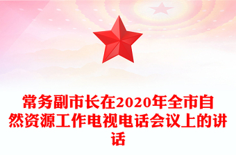 常务副市长在2020年全市自然资源工作电视电话会议上的讲话