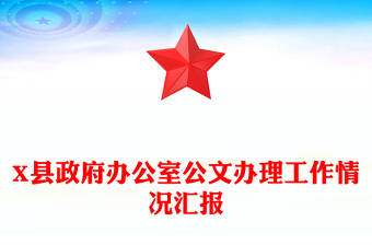 X县政府办公室公文办理工作情况汇报