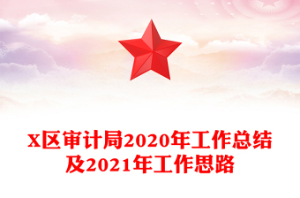 X区审计局2020年工作总结及2021年工作思路