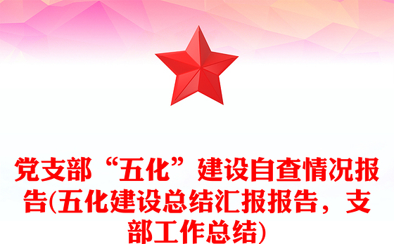 党支部“五化”建设自查情况报告(五化建设总结汇报报告，支部工作总结)