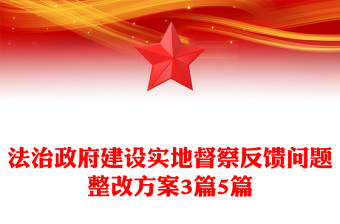 法治政府建设实地督察反馈问题整改方案3篇5篇