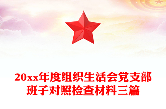 20xx年度组织生活会党支部班子对照检查材料三篇