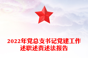 2022年党总支书记党建工作述职述责述法报告