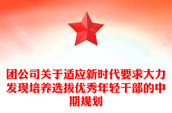 团公司关于适应新时代要求大力发现培养选拔优秀年轻干部的中期规划