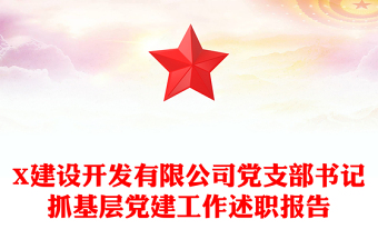 X建设开发有限公司党支部书记抓基层党建工作述职报告