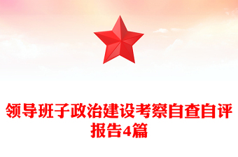 领导班子政治建设考察自查自评报告4篇