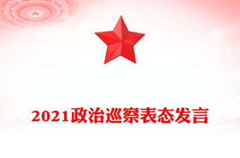 2021政治巡察表态发言