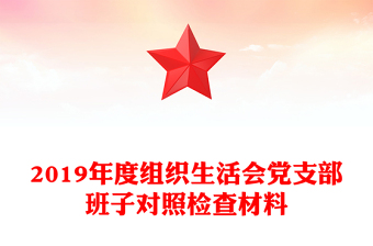 2019年度组织生活会党支部班子对照检查材料
