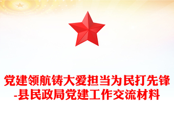 党建领航铸大爱担当为民打先锋-县民政局党建工作交流材料