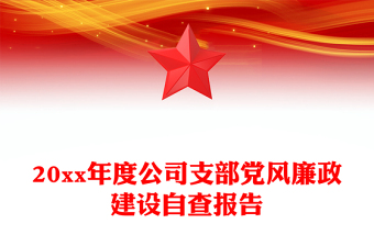 20xx年度公司支部党风廉政建设自查报告