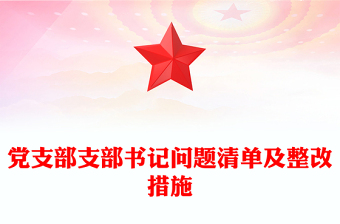 党支部支部书记问题清单及整改措施