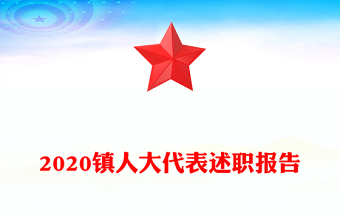 2020镇人大代表述职报告