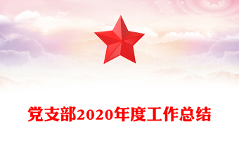 党支部2020年度工作总结