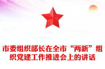 市委组织部长在全市“两新”组织党建工作推进会上的讲话