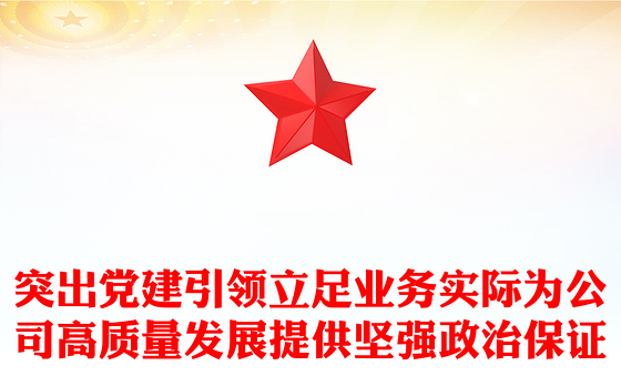 突出党建引领立足业务实际为公司高质量发展提供坚强政治保证